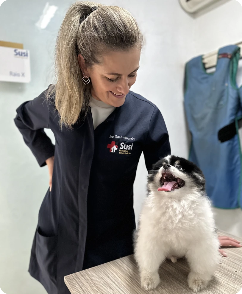 Veterinária atendendo um pet no Susi Hospital Veterinário